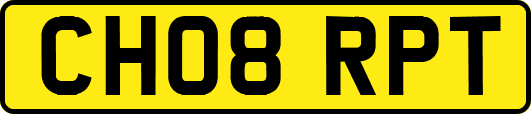 CH08RPT