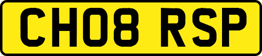 CH08RSP