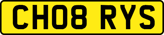 CH08RYS