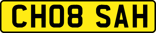 CH08SAH