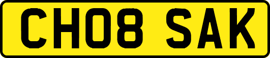 CH08SAK