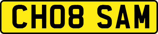 CH08SAM