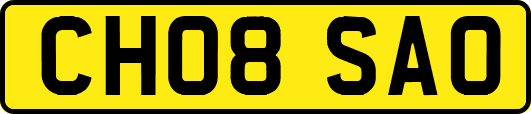CH08SAO
