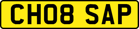 CH08SAP
