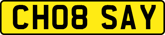CH08SAY