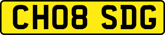 CH08SDG