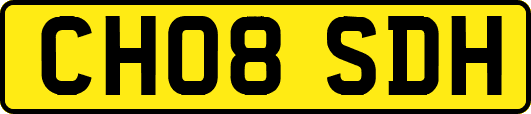 CH08SDH