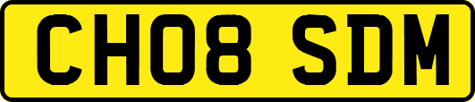 CH08SDM