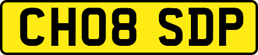 CH08SDP