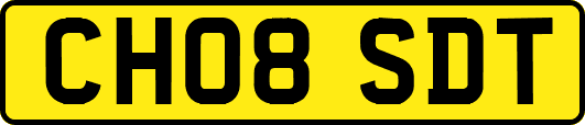 CH08SDT
