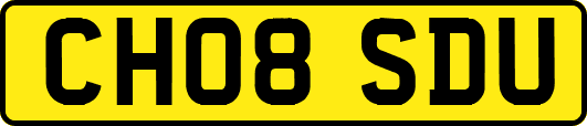 CH08SDU