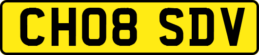 CH08SDV