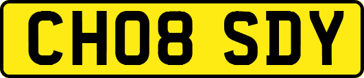 CH08SDY