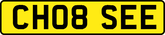 CH08SEE
