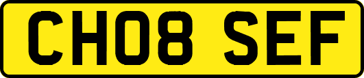CH08SEF