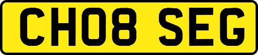 CH08SEG