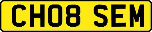 CH08SEM