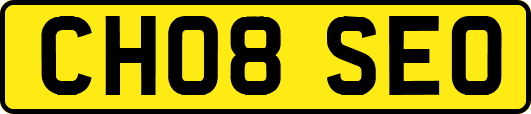 CH08SEO