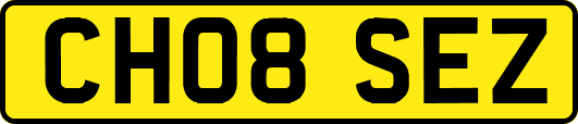 CH08SEZ