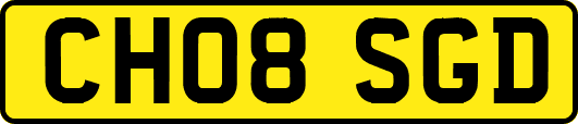 CH08SGD