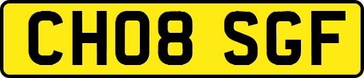 CH08SGF