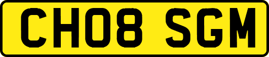 CH08SGM