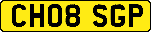 CH08SGP