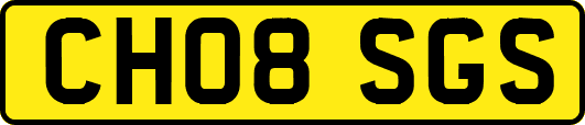 CH08SGS