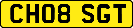 CH08SGT