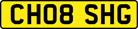 CH08SHG