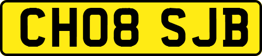 CH08SJB