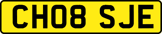 CH08SJE