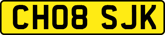 CH08SJK