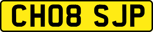 CH08SJP