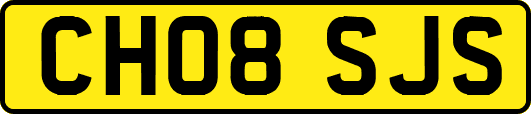 CH08SJS