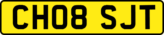 CH08SJT
