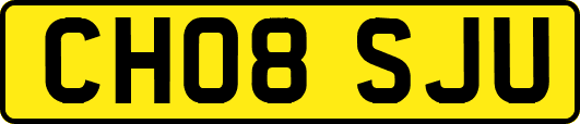 CH08SJU