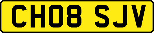 CH08SJV