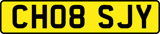 CH08SJY