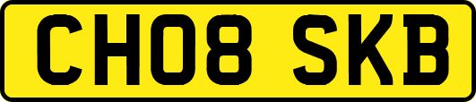 CH08SKB