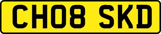 CH08SKD