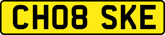 CH08SKE