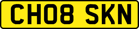 CH08SKN