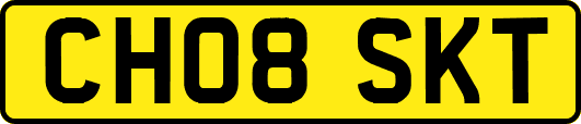 CH08SKT