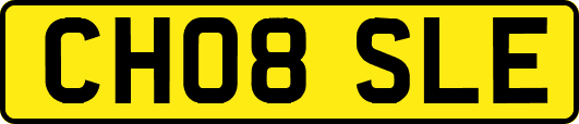 CH08SLE