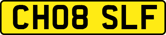 CH08SLF