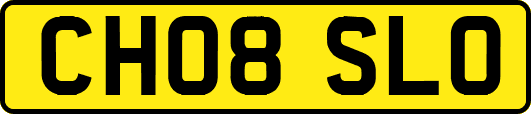 CH08SLO