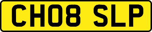 CH08SLP