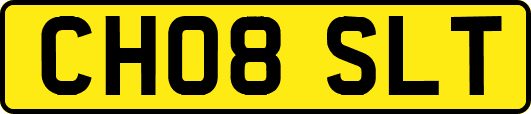 CH08SLT