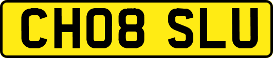 CH08SLU